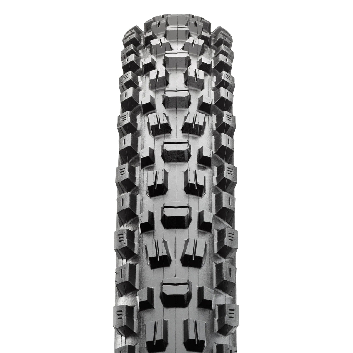 Maxxis Assegai, 3CG, EXO+, TR, 29x2.5WT - MTB Renkaat - | Bikexpert
