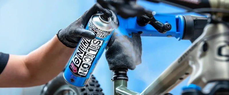 Pesun viimeistely - Bikexpert