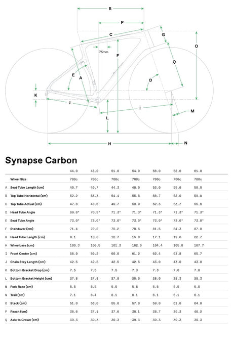 Cannondale Synapse Carbon 4 - Maantiepyörät - Chalk - 44 - | Bikexpert