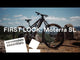 Cannondale Moterra SL 2